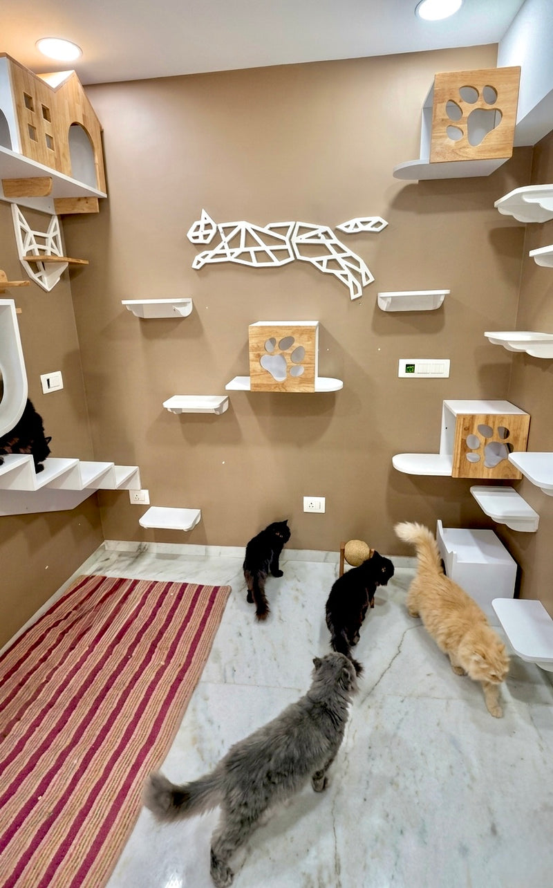 Meow Mansion