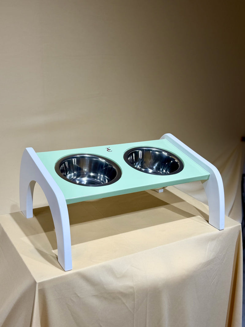 Canine Tray (Tinted Pista)