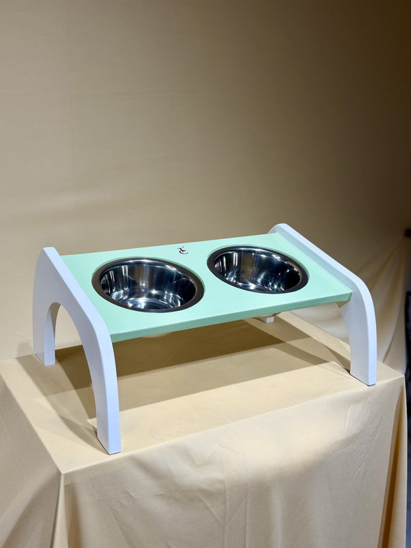 Canine Tray (Tinted Pista)
