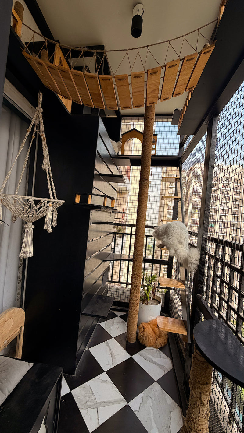 Furry Paltan Catio