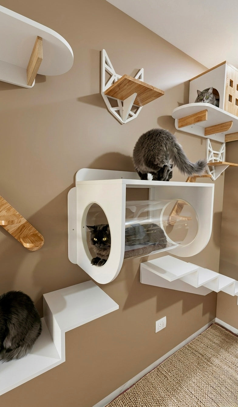 Meow Mansion