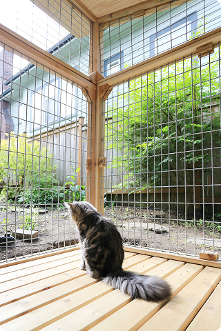 shared by ALEX MERCER