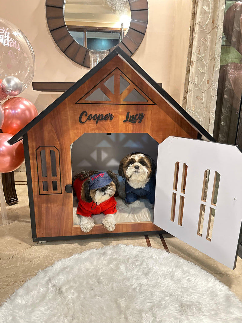 Objects of Familiarity: Why Pets Return to the Same Things