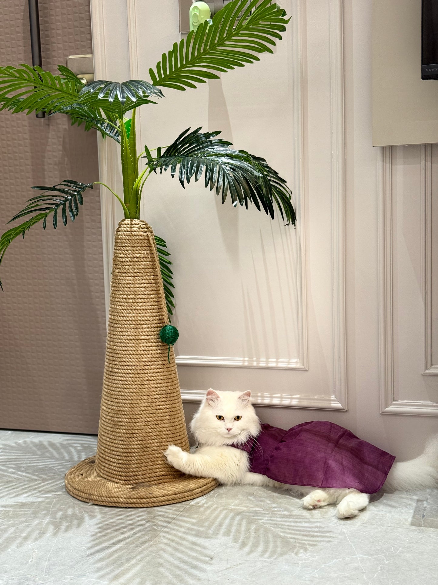 Palm Royale