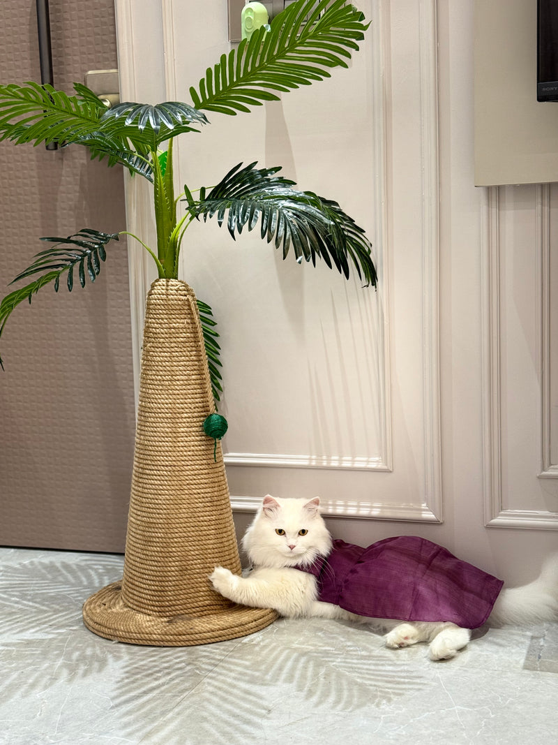 Palm Royale