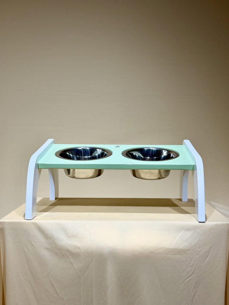 Canine Tray (Tinted Pista)