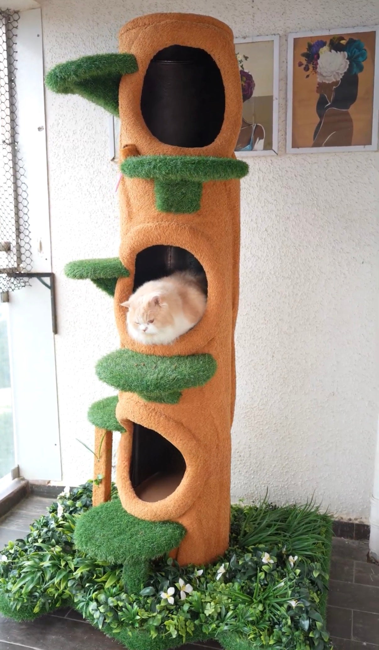 Real Cat Tree