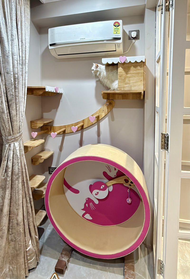 Romana's Whisker Wonderland