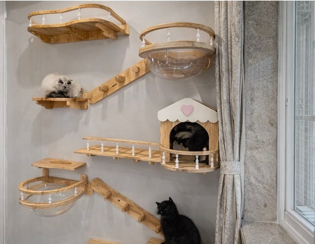 Romana's Whisker Wonderland