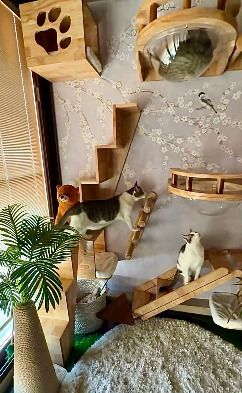 Michi's Catio