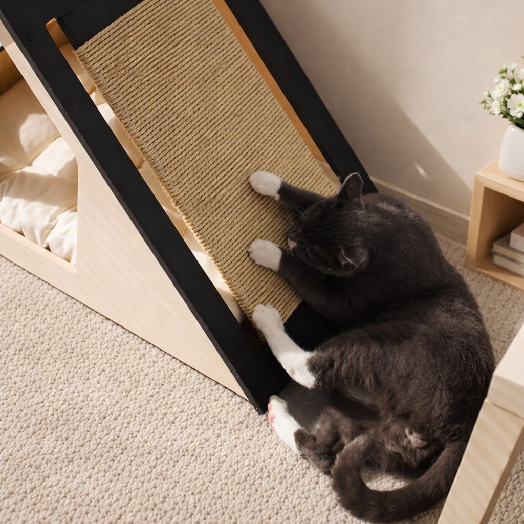 The Scratch Pad