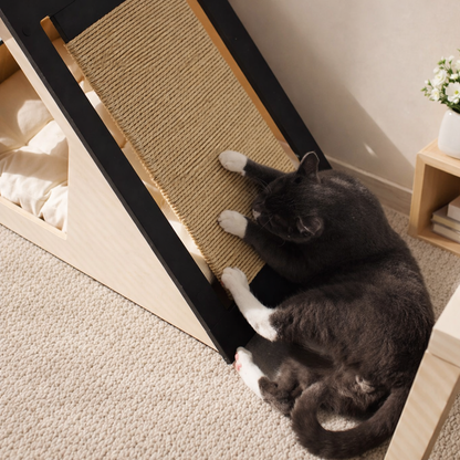 The Scratch Pad
