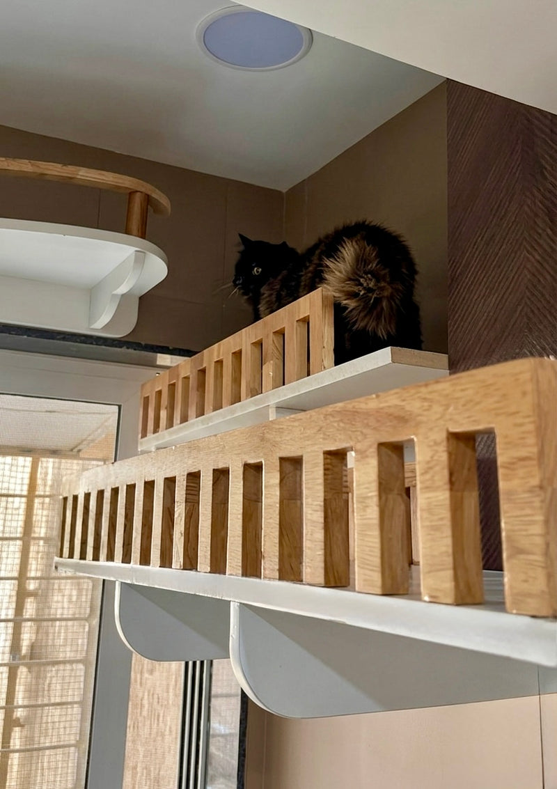 Meow Mansion