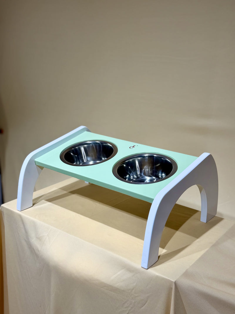 Canine Tray (Tinted Pista)