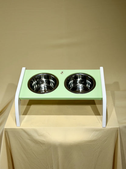 Canine Tray (Tinted Pista)