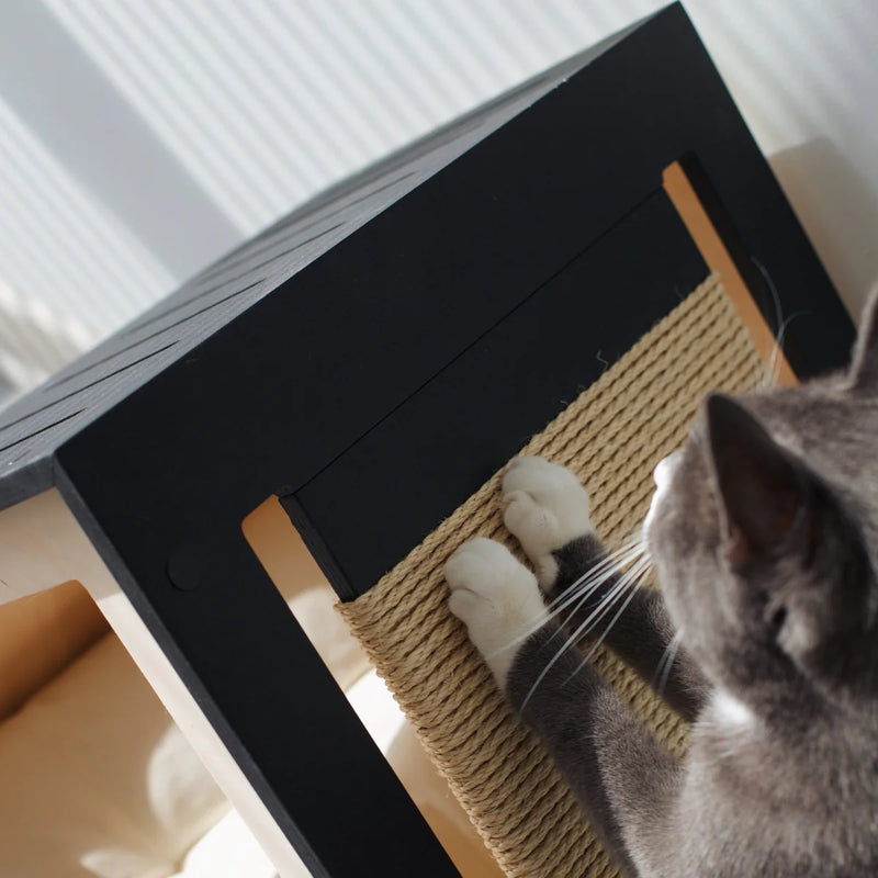The Scratch Pad