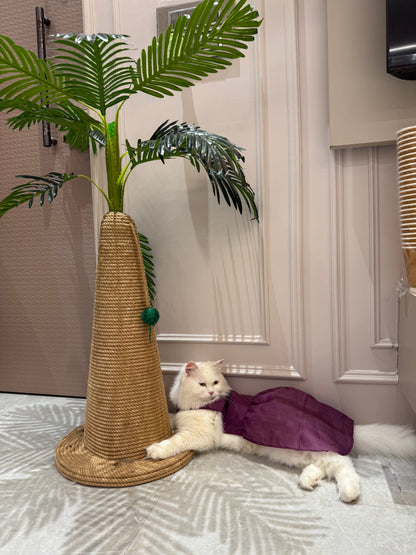 Palm Royale