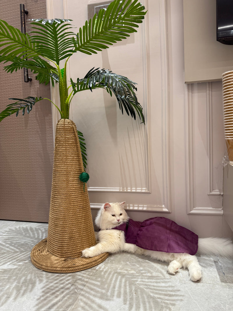 Palm Royale