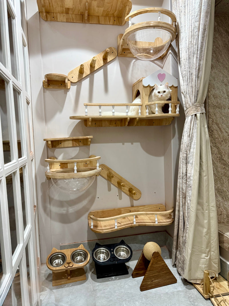 Romana's Whisker Wonderland