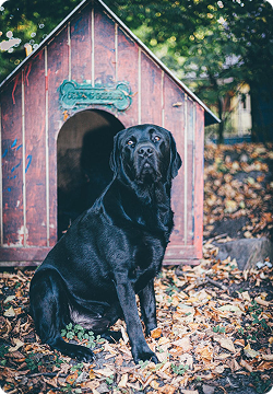 shared by EMMA WATSON