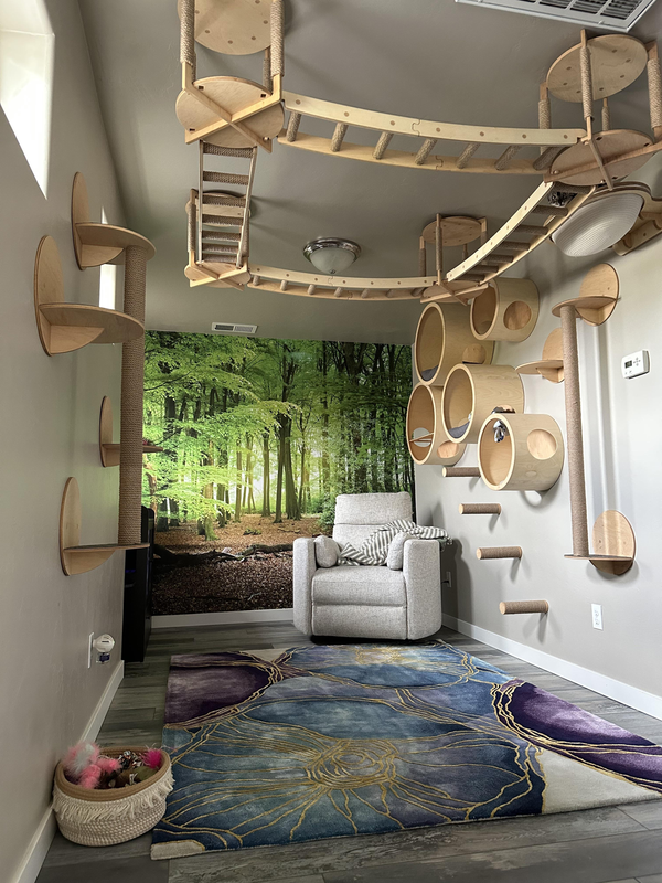 Custom Cat Spaces