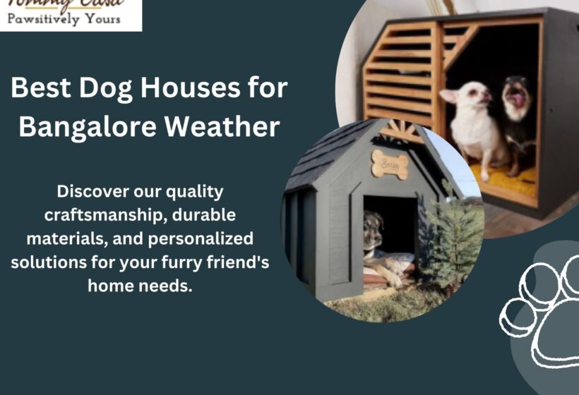 Dog House in Bangalore