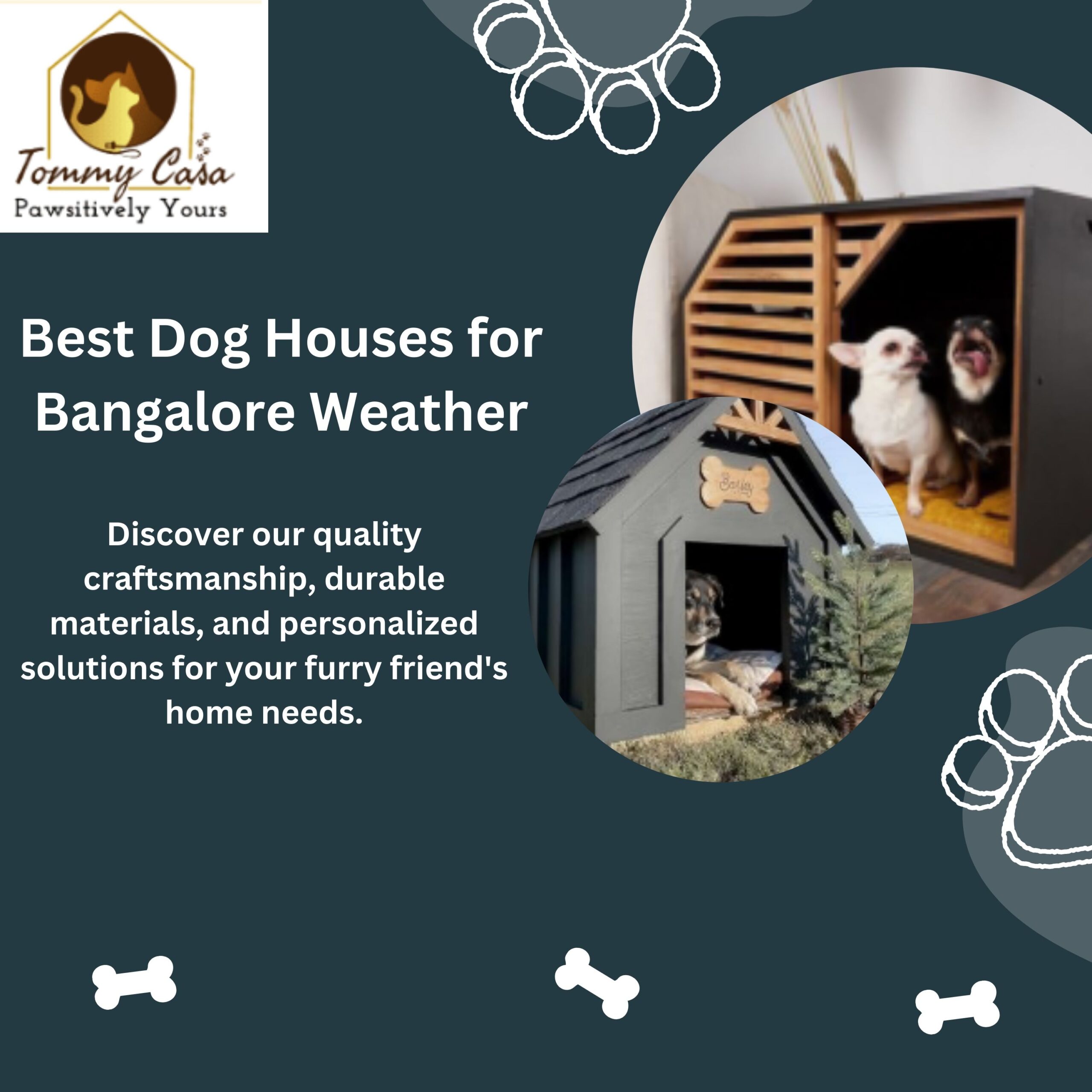 Dog House in Bangalore