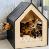 Premium Cat Houses