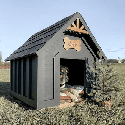 Dog House in Pune