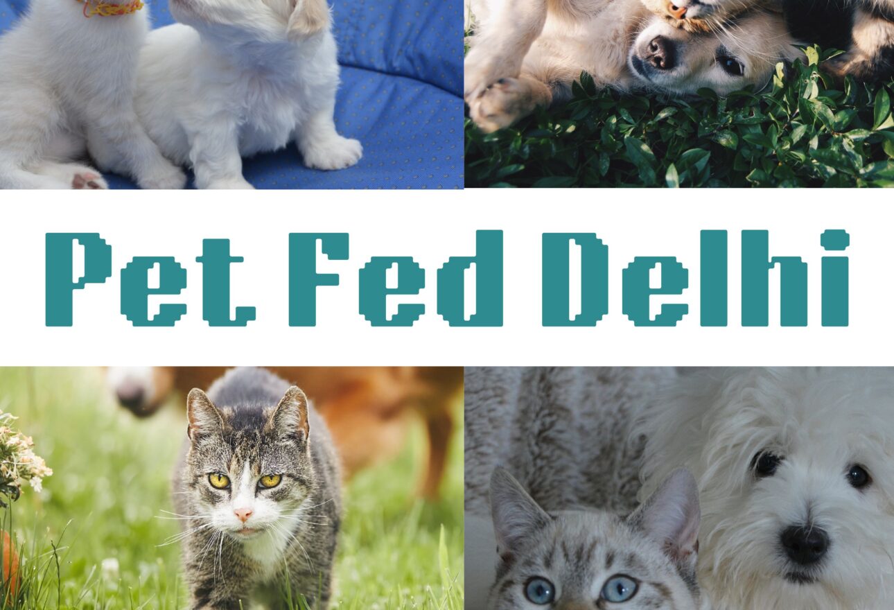 Pet Fed Delhi