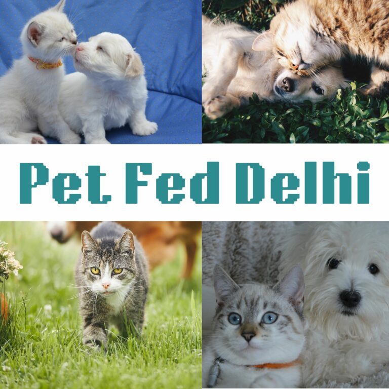 Pet Fed Delhi