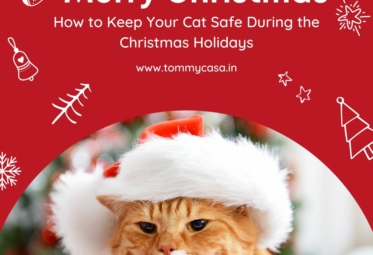 How to Keep Your Cat Safe During the Christmas Holidays