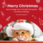 How to Keep Your Cat Safe During the Christmas Holidays