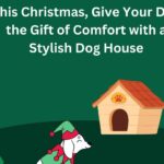 Pet Christmas gift