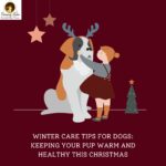 Winter Care Tips for Dogs