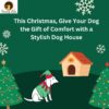 Pet Christmas gift