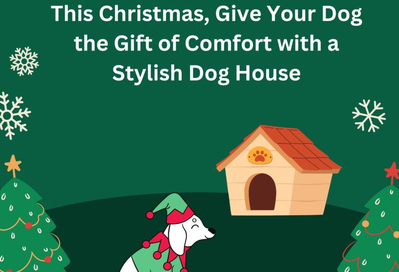 Pet Christmas gift